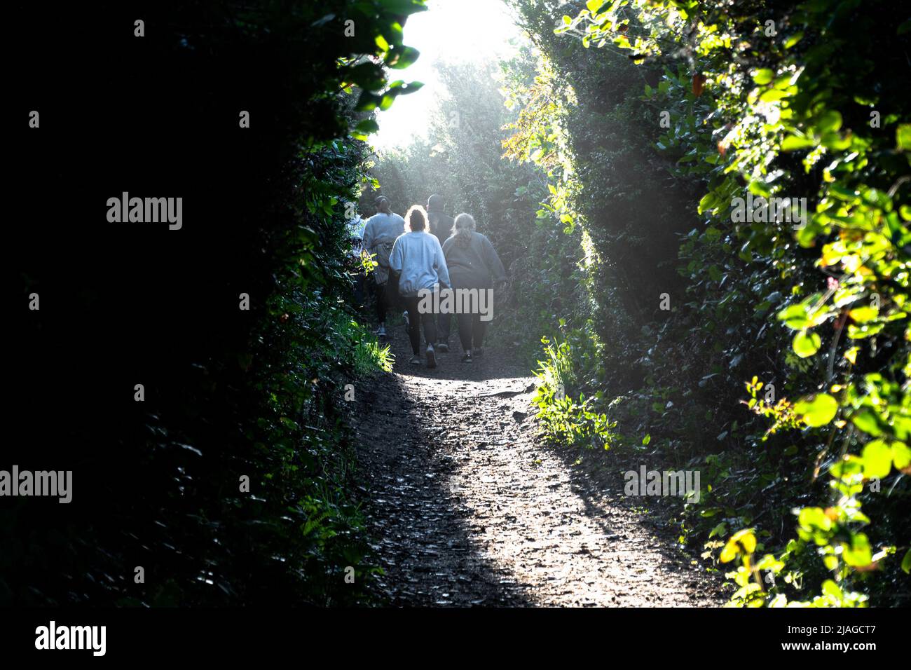 Une randonnée en famille le long d'un sentier entouré de lierre et de verdure, faisant des ombres intéressantes. Banque D'Images