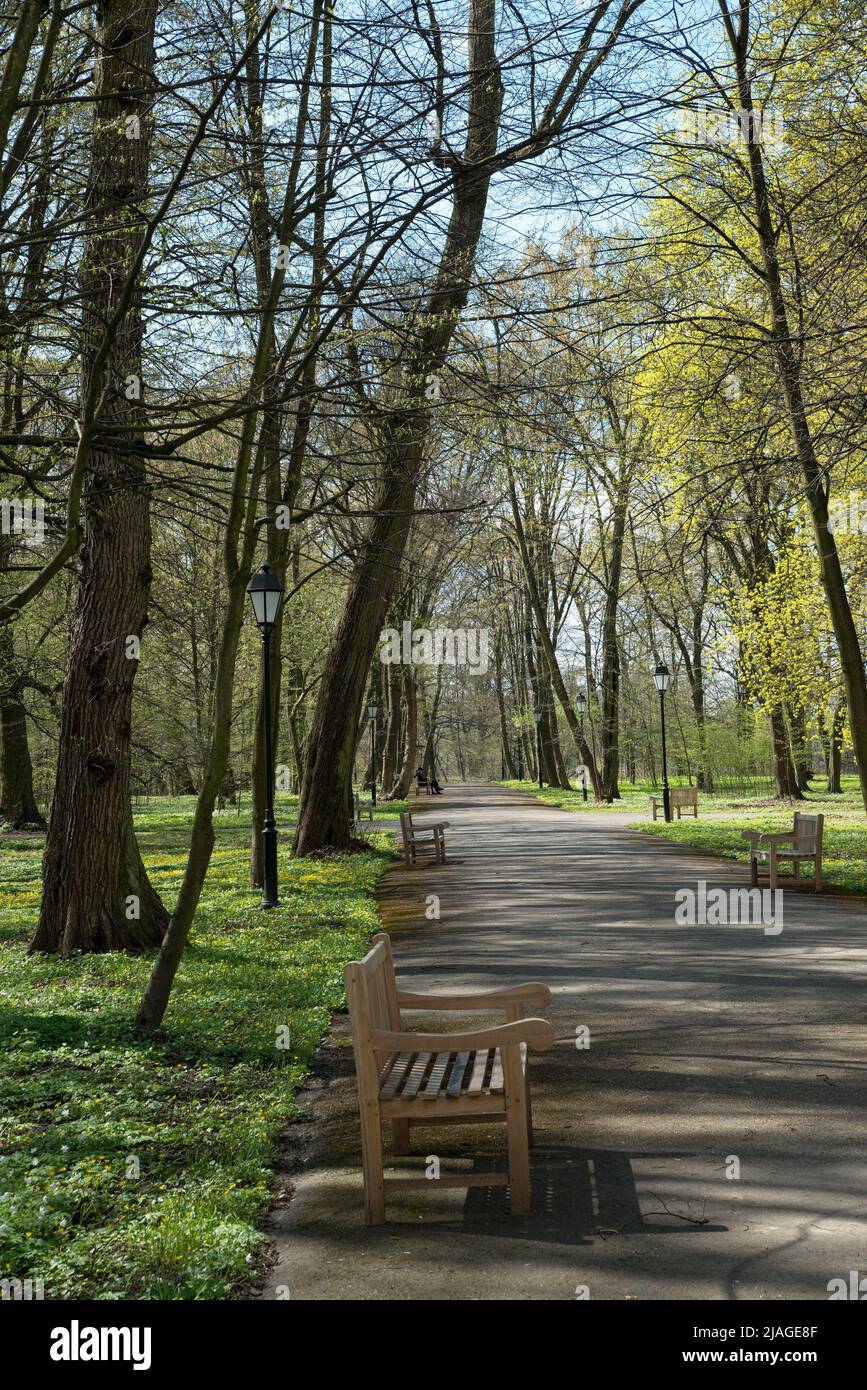 Parc à Ottock Wielki, voile de Masovian, Pologne Banque D'Images