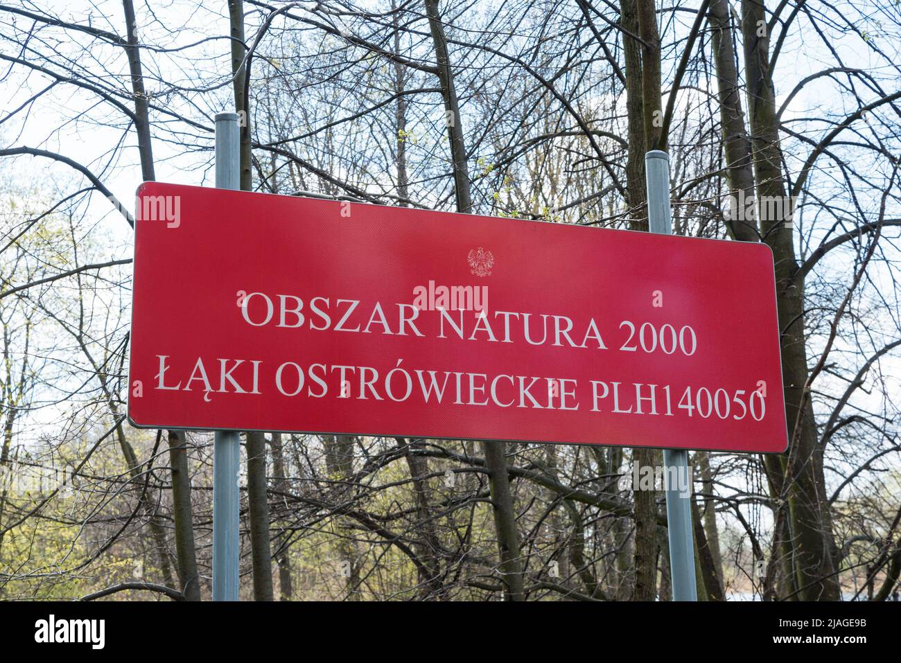 Parc à Ottock Wielki, voile de Masovian, Pologne Banque D'Images