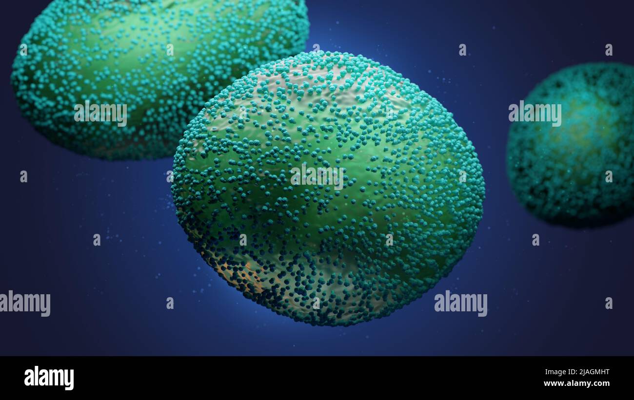 Monkeypox virus structure enveloppée Banque D'Images