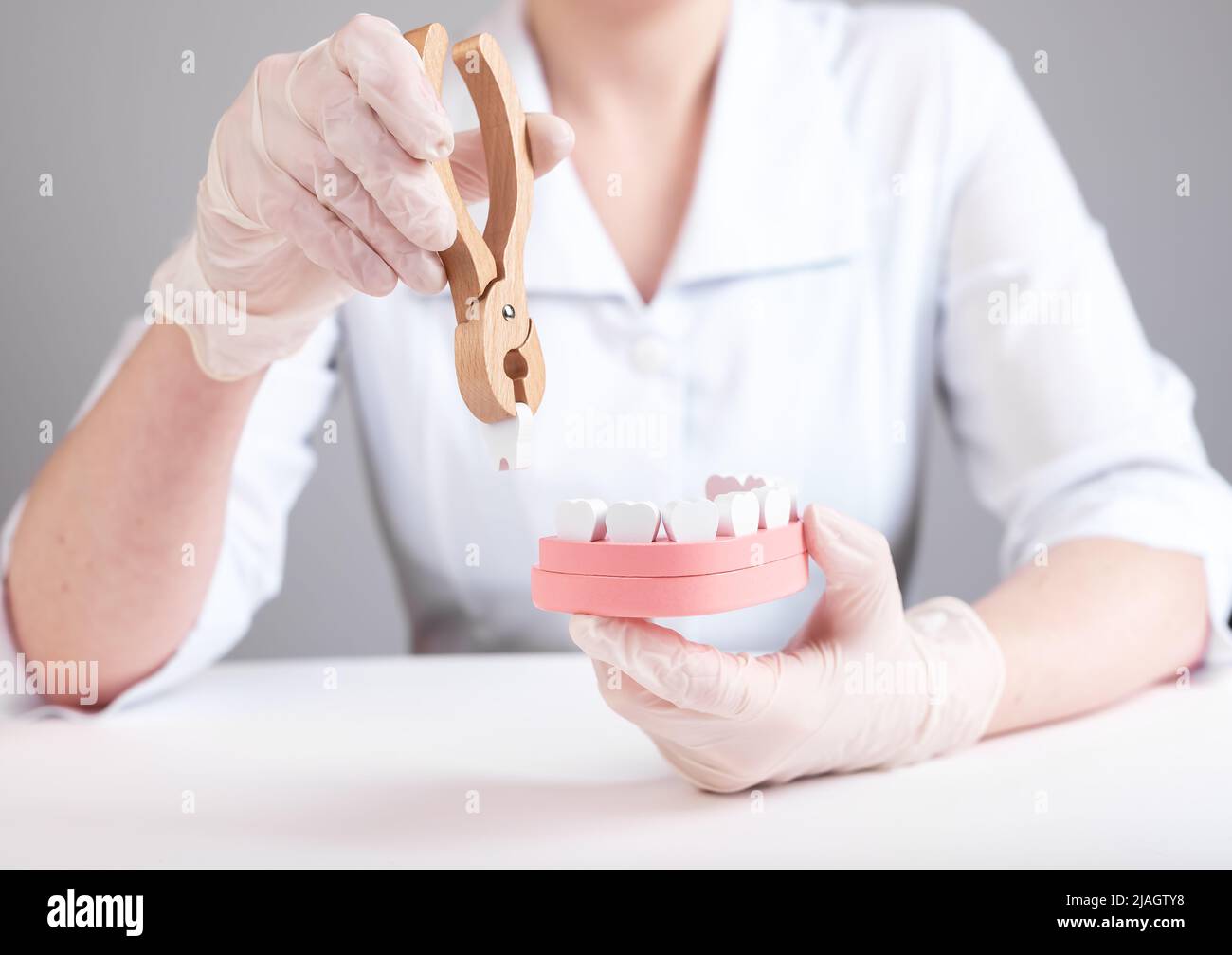 Dentiste tirant la dent avec des pinces hors du modèle de mâchoire. Sagesse extraction des dents ou mauvaise hygiène buccale, conséquences des blessures. Chirurgien dentaire en blouse de laboratoire et gants assis à la table. Photo de haute qualité Banque D'Images