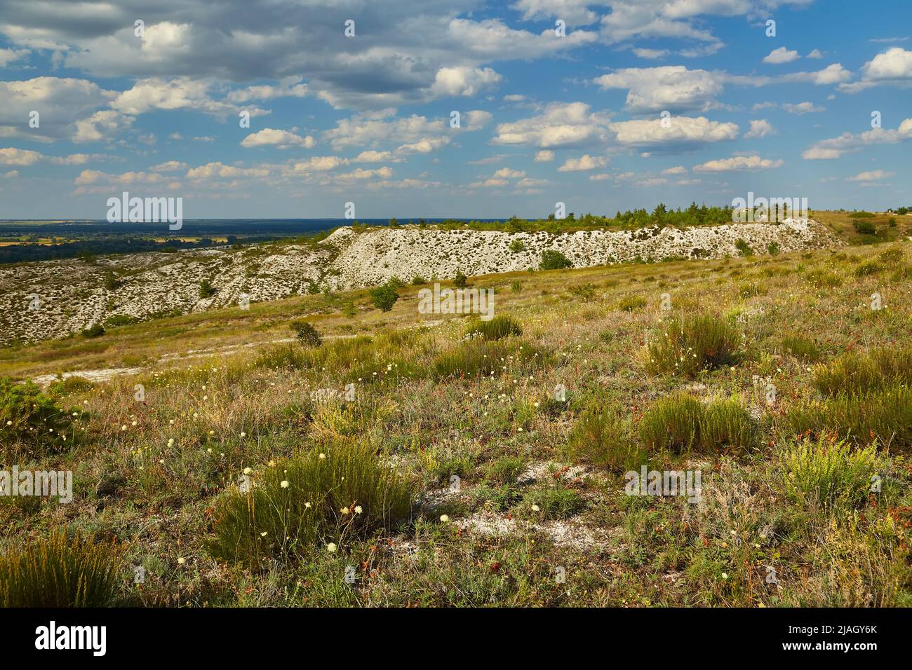 Montagne de craie par une journée ensoleillée, zone protégée près de Svyatogorsk, Ukraine. Banque D'Images