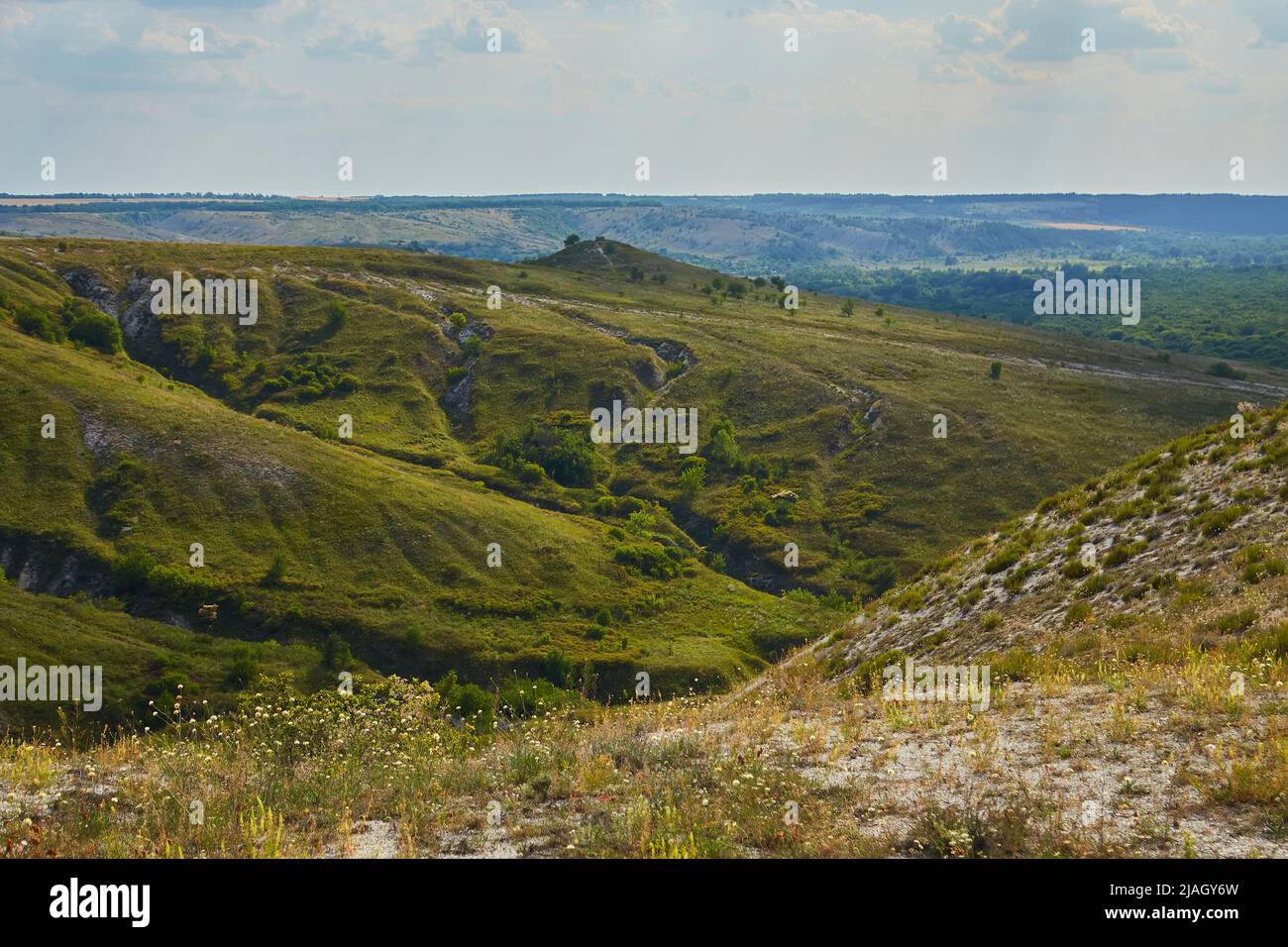 Montagne de craie par une journée ensoleillée, zone protégée près de Svyatogorsk, Ukraine. Banque D'Images