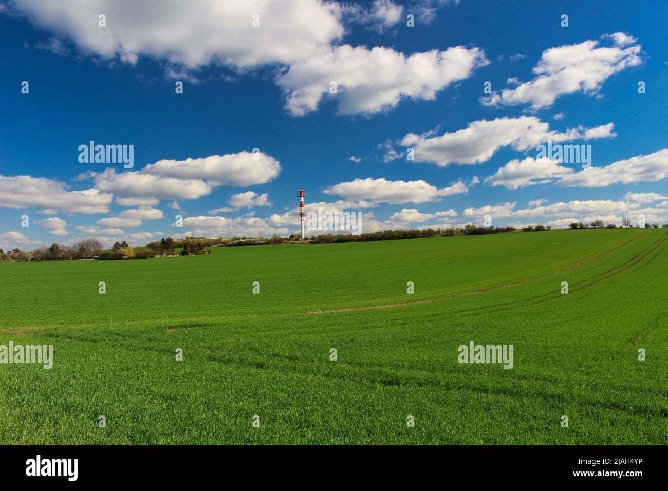 Champ de ressort vert avec mât de communication en arrière-plan. Banque D'Images Champ de ressort vert avec mât de communication en arrière-plan. Banque D'Images