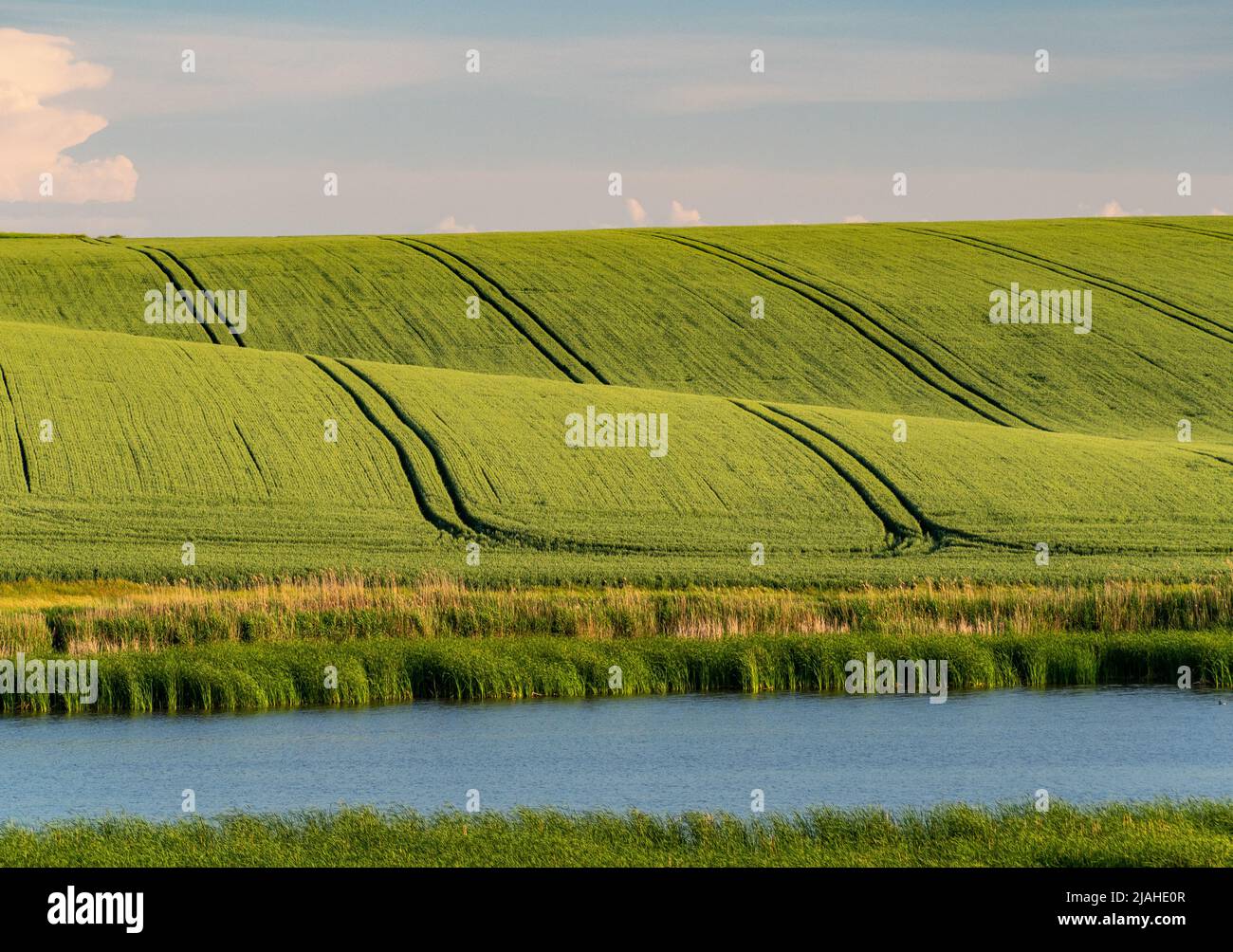 paysage agricole avec champs verts sur les collines Banque D'Images