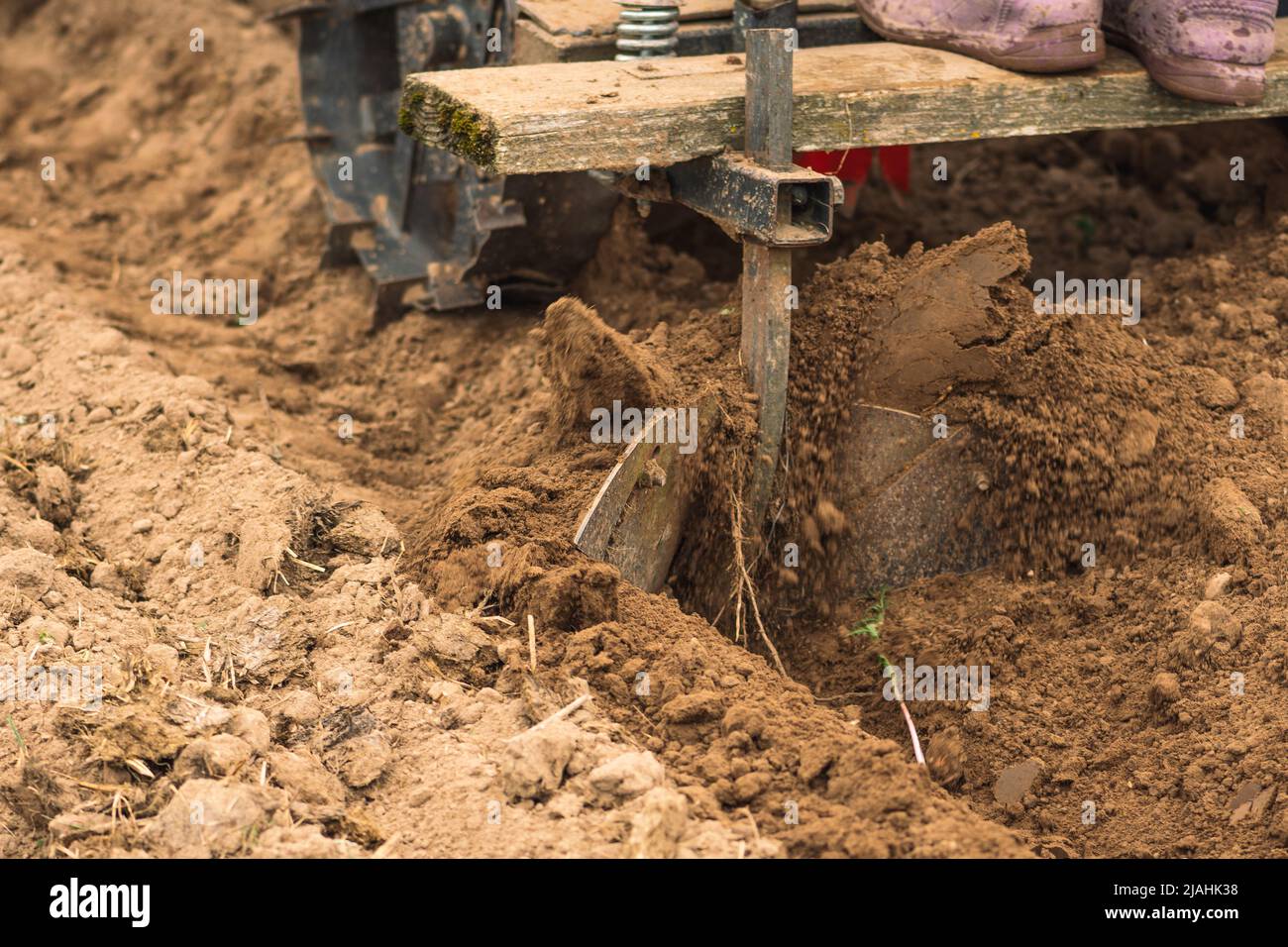 Labourage et semis du sol avec un tracteur agricole dans un champ agricole au printemps Banque D'Images