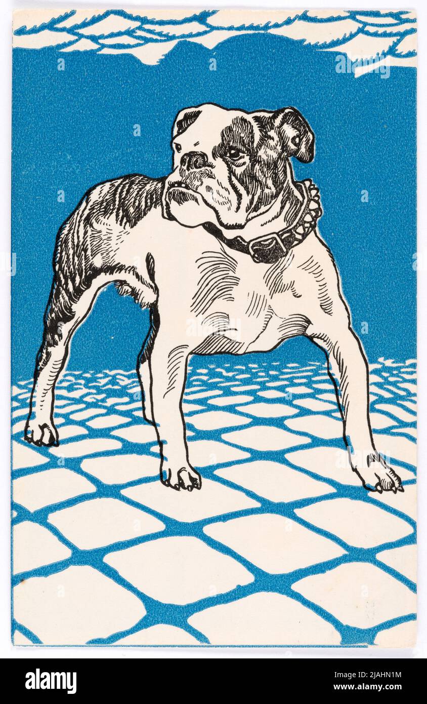 Carte postale du Wiener Werkstätte n° 680: Bulldogge. Moriz Jung (1885-1915), artiste, Wiener Werkstätte, Maison d'édition Banque D'Images
