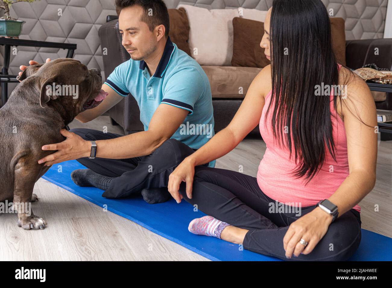 Homme avec sa femme enceinte jouer avec leur chien dans le salon de leur maison Banque D'Images