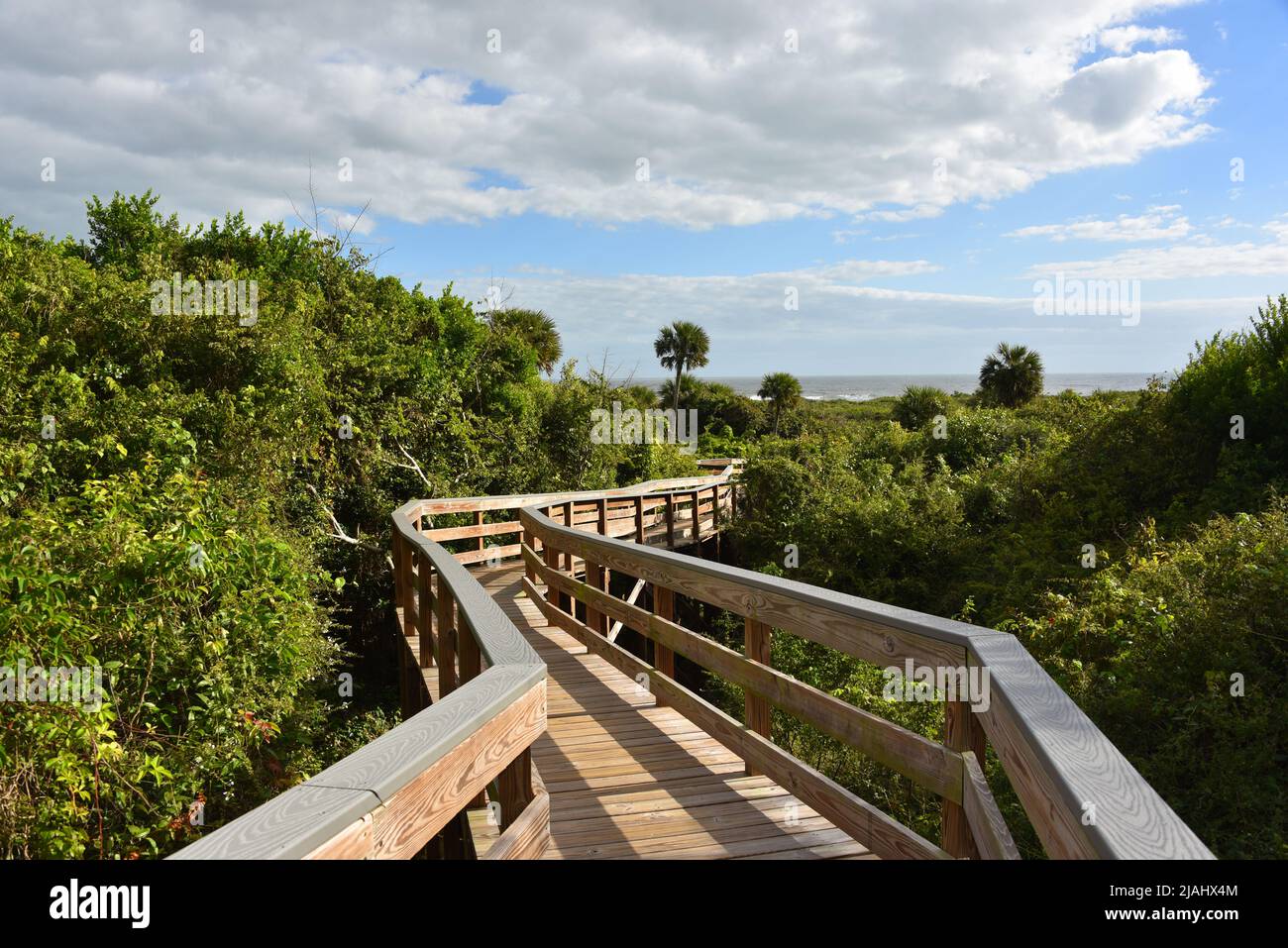 Floride - grand format gros plan d'un chemin public en bois élevé à travers la floraison sous-broussailles tropicales à la belle plage et la mer. Banque D'Images