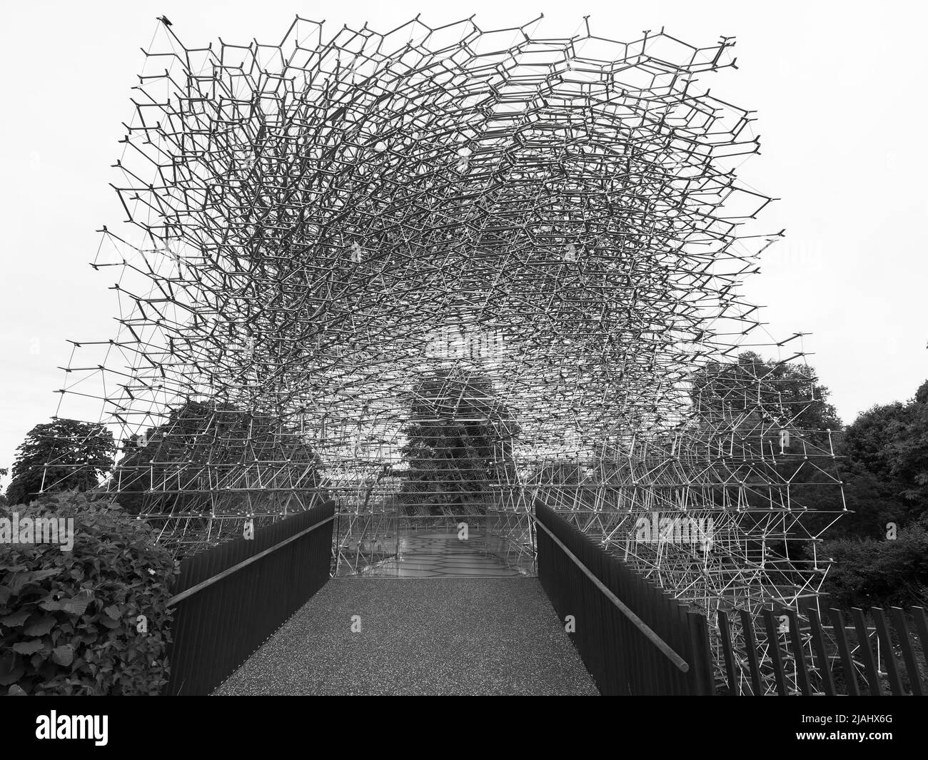 Jardins botaniques royaux de Kew. The Hive by Wolfgang contrefort, une structure conçue pour célébrer les abeilles domestiques britanniques. Monochrome. Londres. Banque D'Images