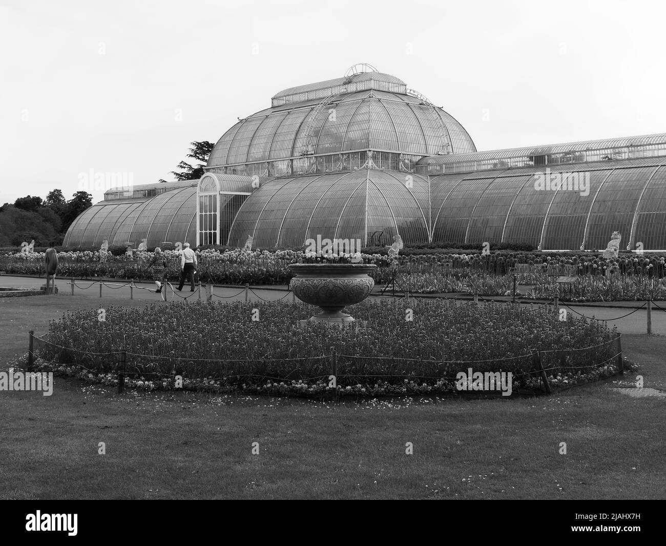 Richmond, Grand Londres, Angleterre, 18 mai 2022: Jardins botaniques royaux Kew. Un couple de personnes âgées passe devant le Palm House. Monochrome. Banque D'Images