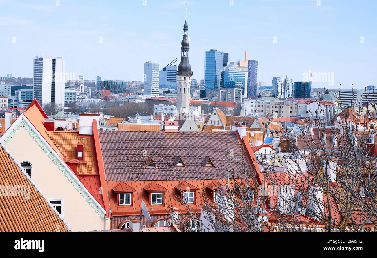 Vue de dessus de la vieille ville - la plus ancienne partie de Tallinn en Estonie avec des toits de tuiles orange et des bâtiments anciens Banque D'Images