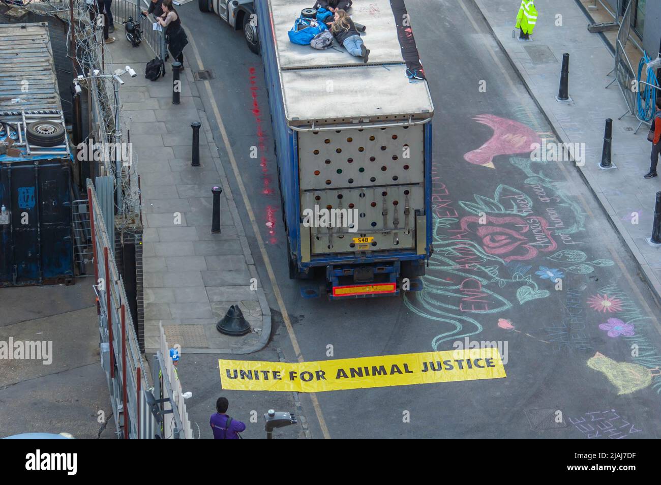 HACKNEY, LONDRES, ANGLETERRE- 23 mars 2022 : des manifestants de la rébellion des animaux se sont assis au-dessus d'un camion quittant l'abattoir de Kedassia à Hackney Banque D'Images