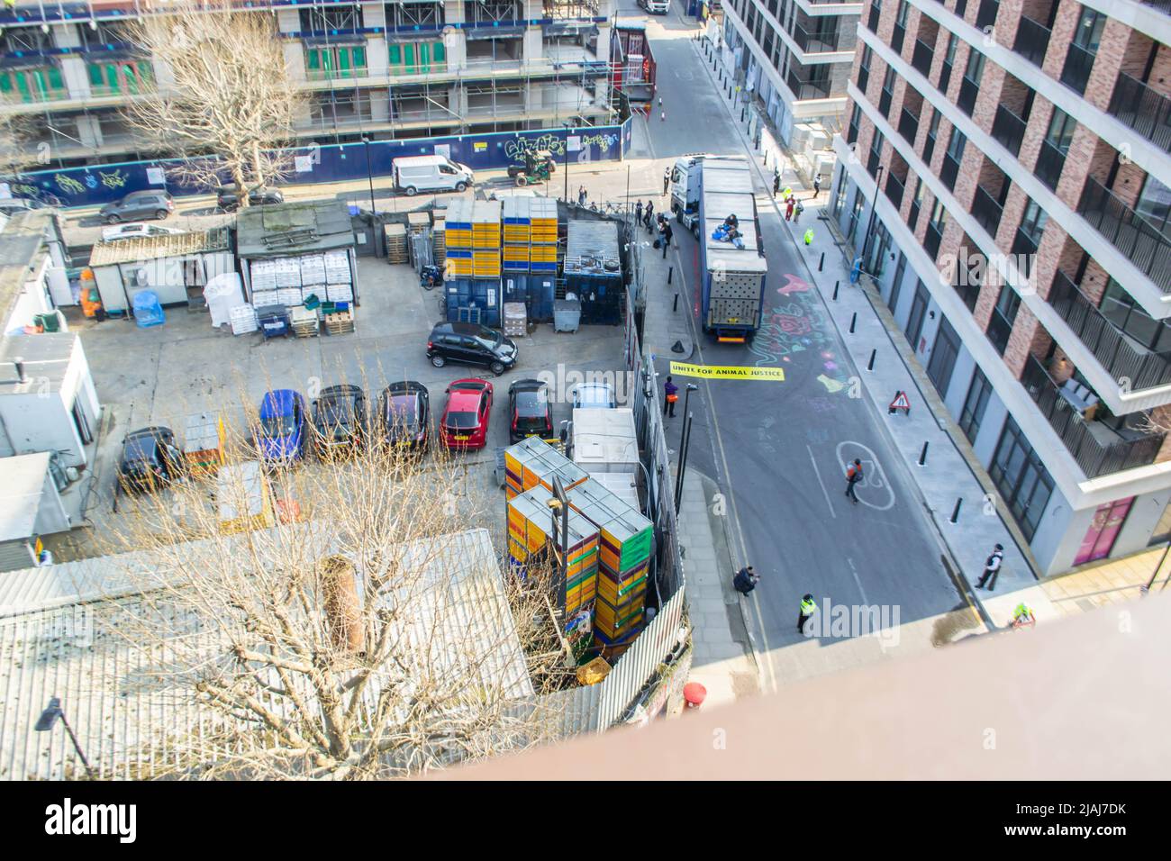 HACKNEY, LONDRES, ANGLETERRE- 23 mars 2022 : des manifestants de la rébellion des animaux se sont assis au-dessus d'un camion quittant l'abattoir de Kedassia à Hackney Banque D'Images