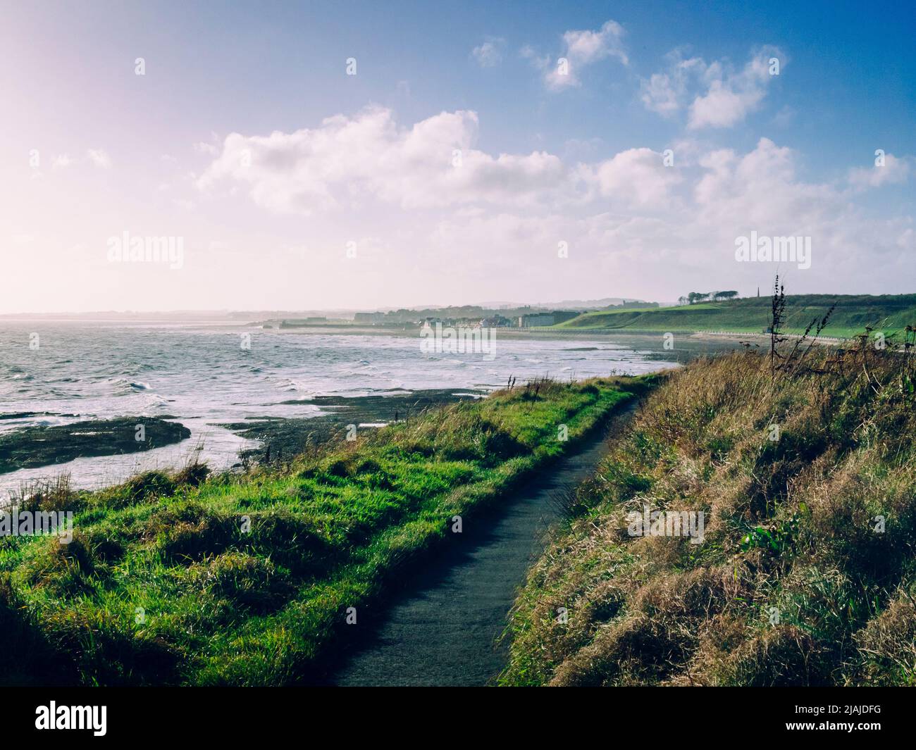 Sentier côtier près des falaises de Seaton près d'Arbroath, en Écosse. Banque D'Images