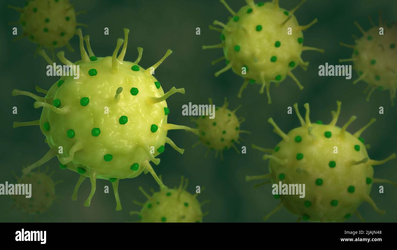 Illustration biomédicale conceptuelle de l'herpès génital, une infection par le virus de l'herpès simplex. Banque D'Images