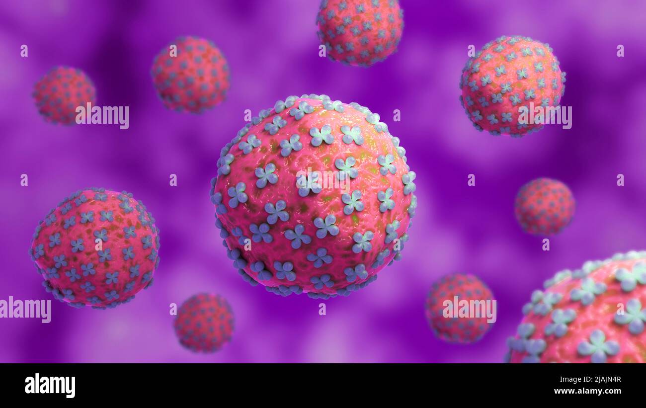 Illustration biomédicale conceptuelle du virus Hantaan. Banque D'Images