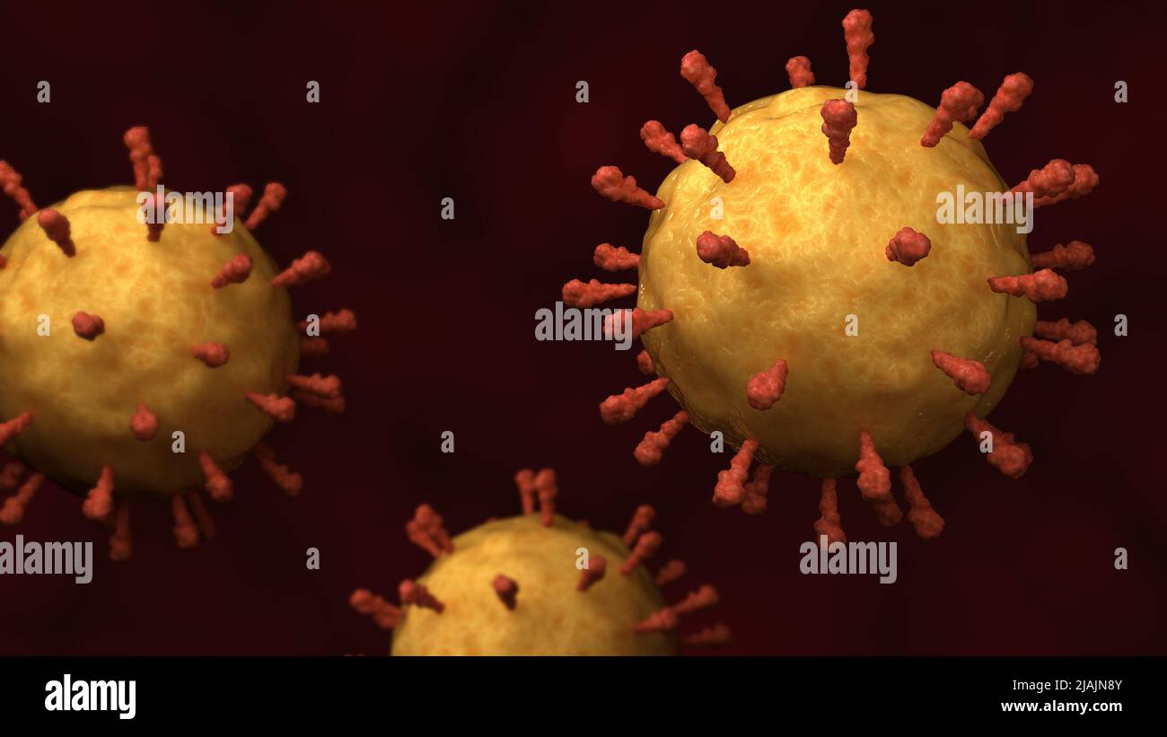 Illustration biomédicale conceptuelle du virus de la rougeole du rubeola. Banque D'Images