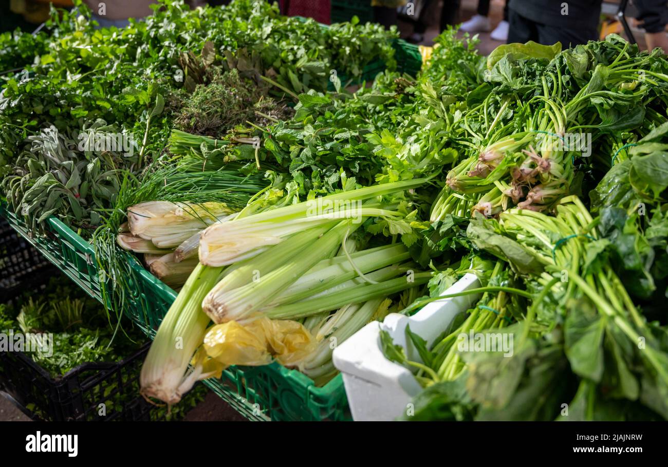 Herbes de cuisine vertes fraîches, laitue à vendre sur le marché de Noailles, ancienne partie centrale de Marseille, Provence, France Banque D'Images