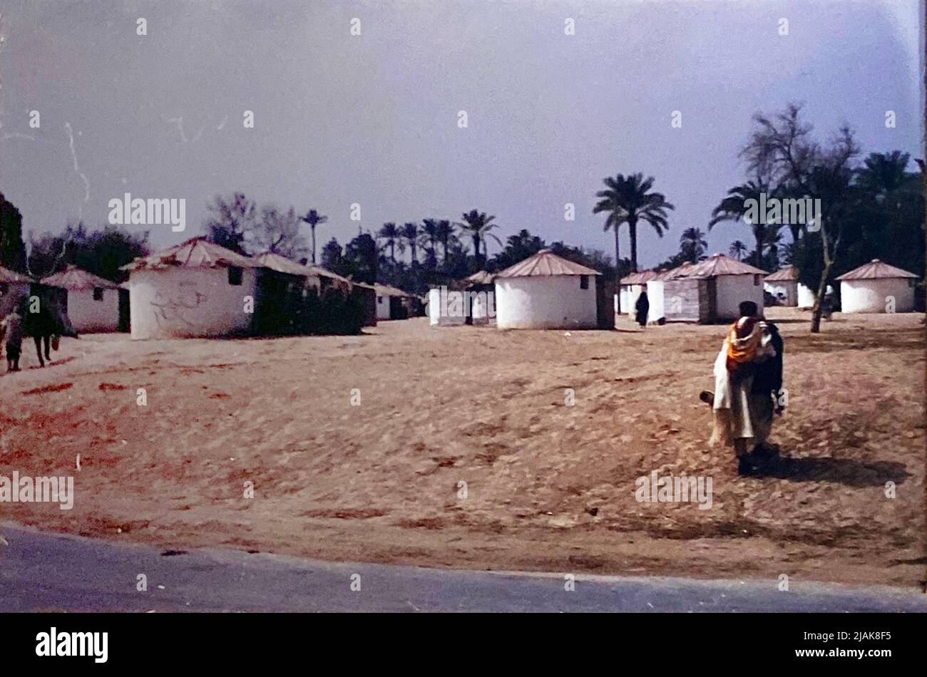 Une diapositive rétro vintage de maisons et de palmiers dans le désert Banque D'Images