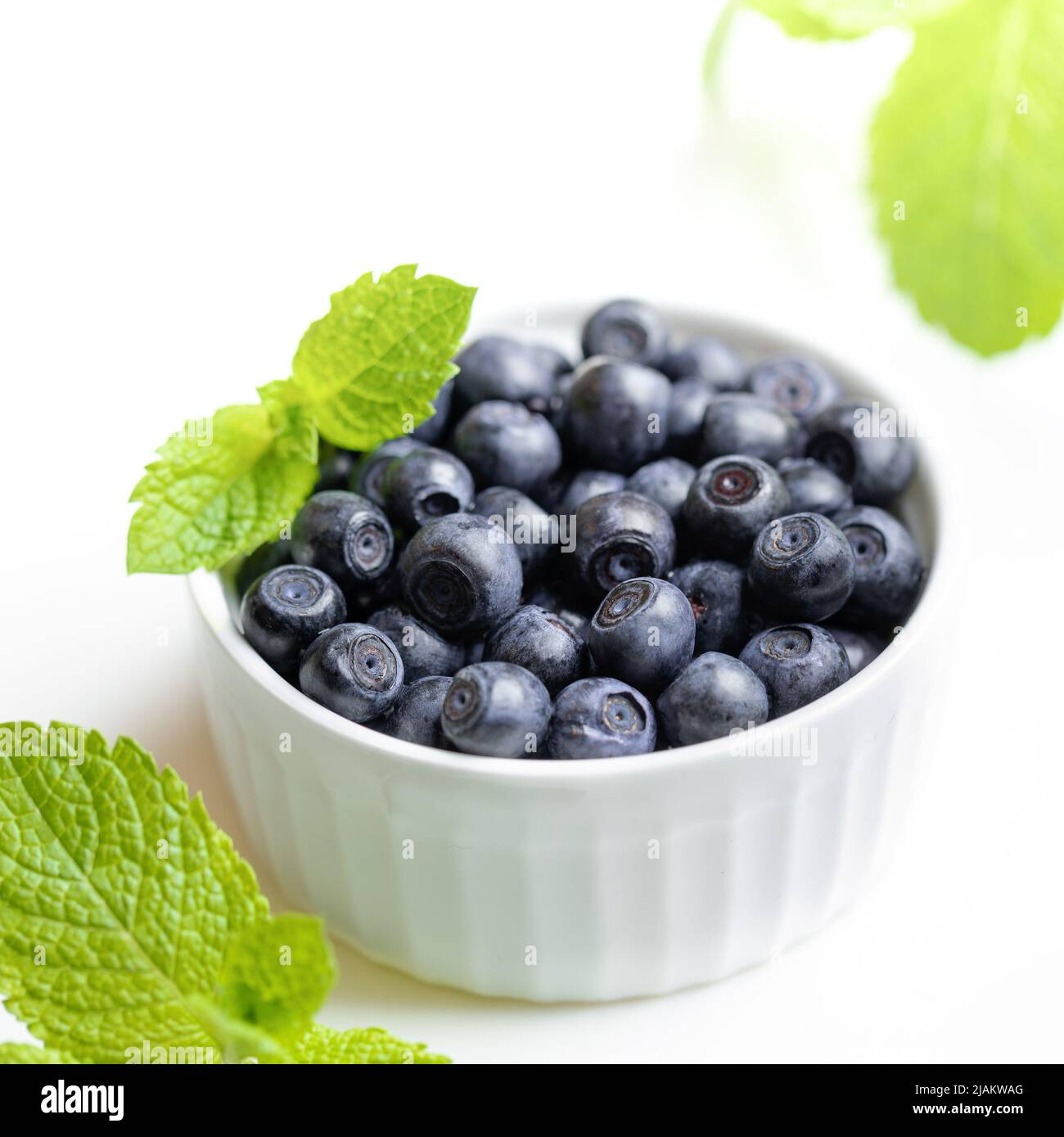 Bol blanc avec bleuets sauvages et feuilles de menthe verte fraîche sur fond blanc. Myrtille - superalimentation naturelle et saine, riche en vitamines. Fermer u Banque D'Images