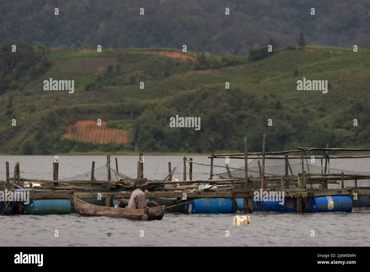 Aquaculture sur le lac Diatas à Solok, Sumatra Ouest, Indonésie. Banque D'Images