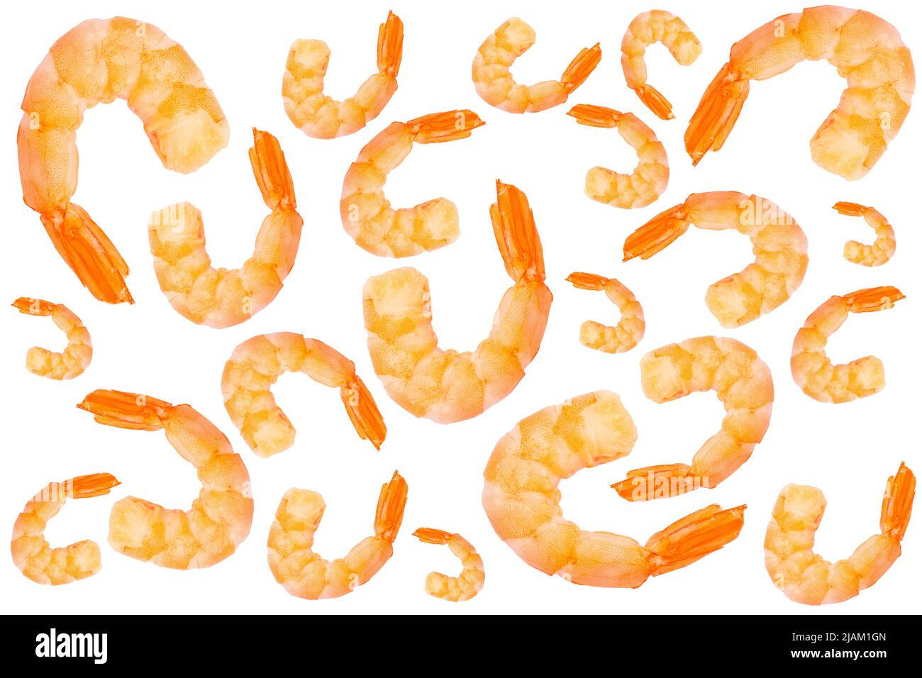 Crevettes argentines rouges isolées sur fond blanc. Grandes crevettes tigrées isolées. Banque D'Images