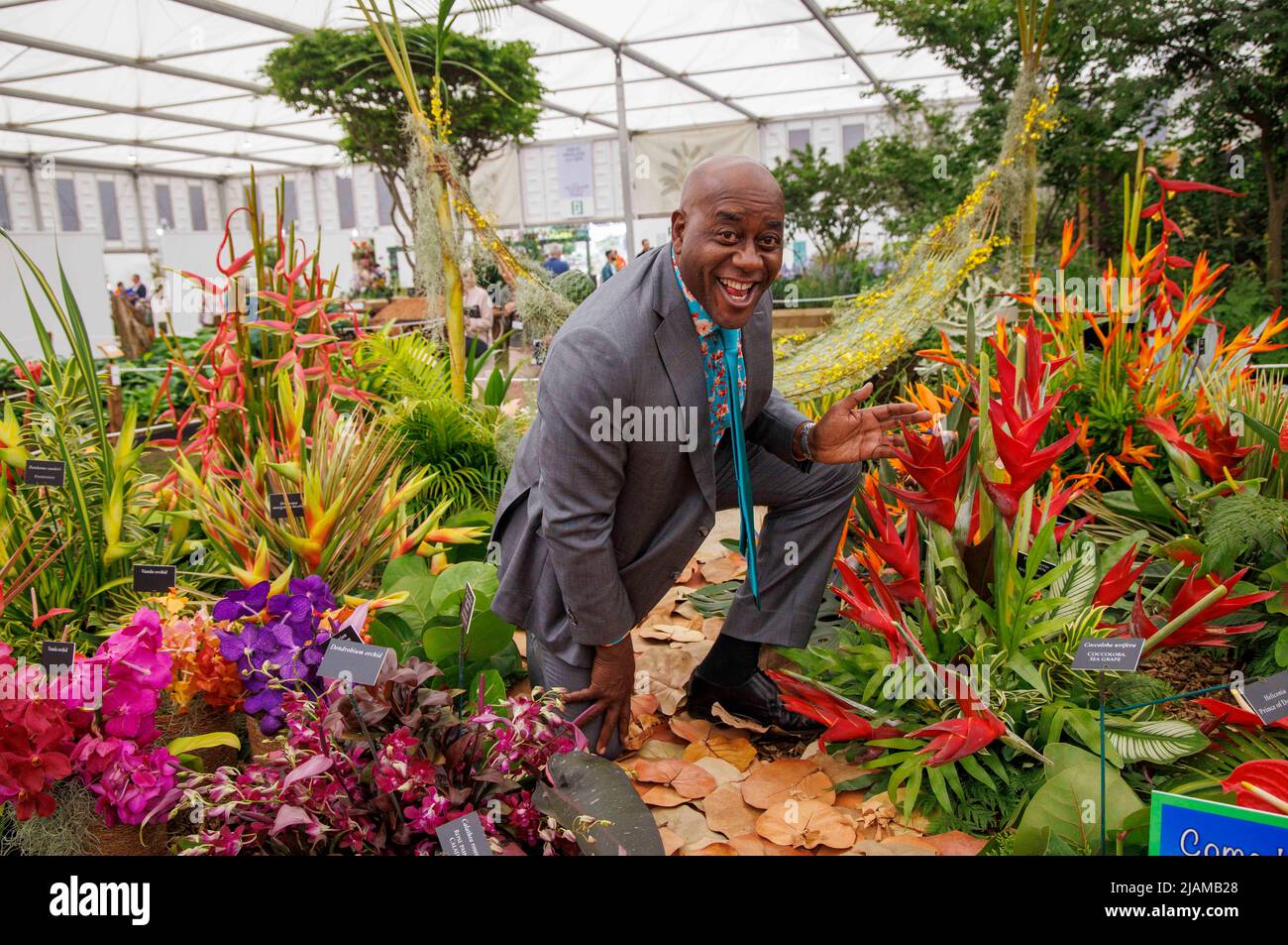 Ainsley Harriott, chef anglais et présentateur de télévision, dans le jardin des Caraïbes au RHS Chelsea Flower Show Banque D'Images