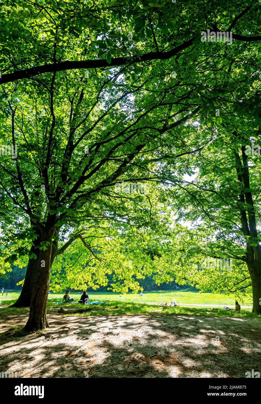 Personnes marchant et assis sur Parliament Hill Hampstead Heath Londres Banque D'Images