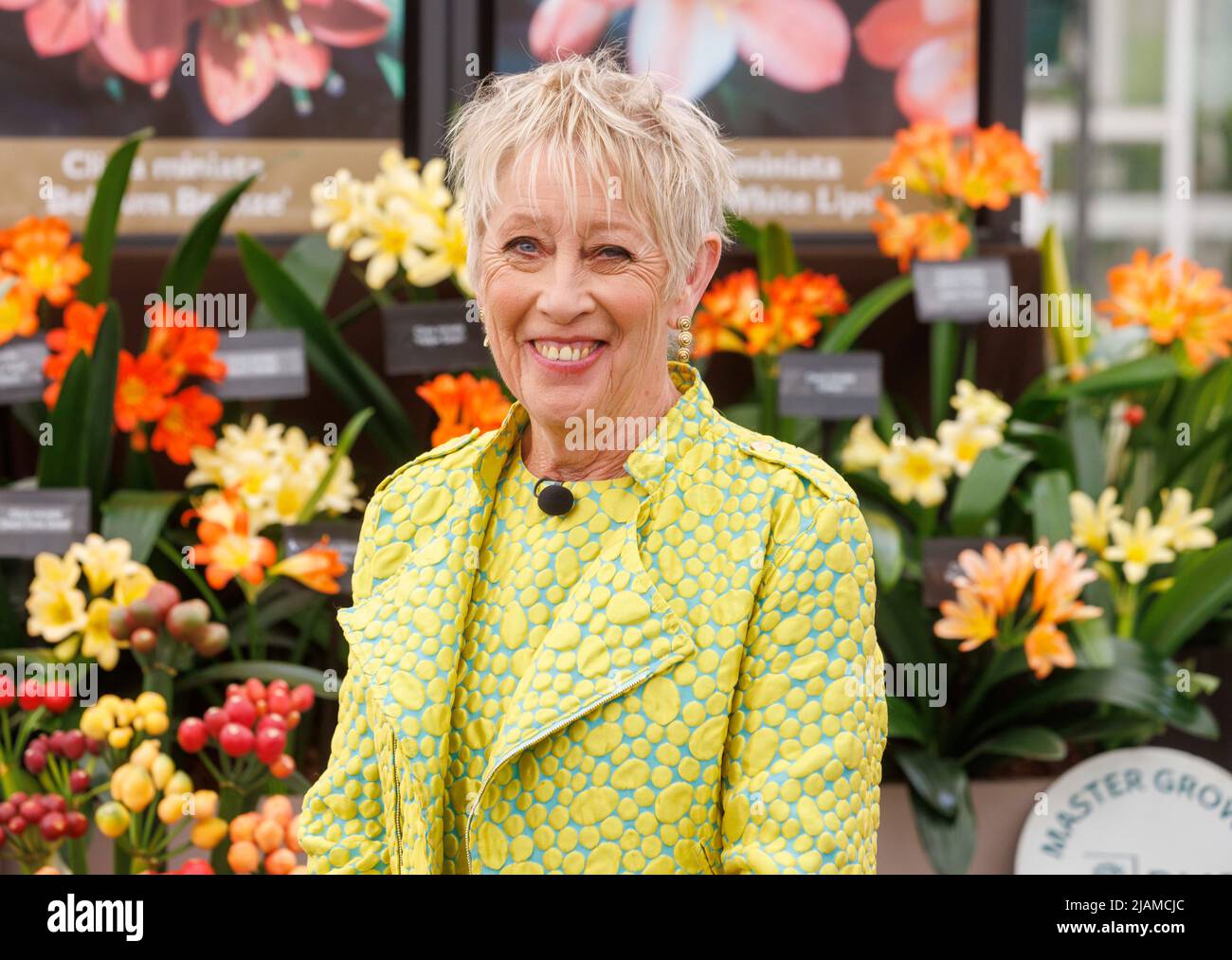 Carol Klein, jardinier, présentatrice de télévision et rédactrice de journaux, au RHS Chelsea Flower Show, Banque D'Images