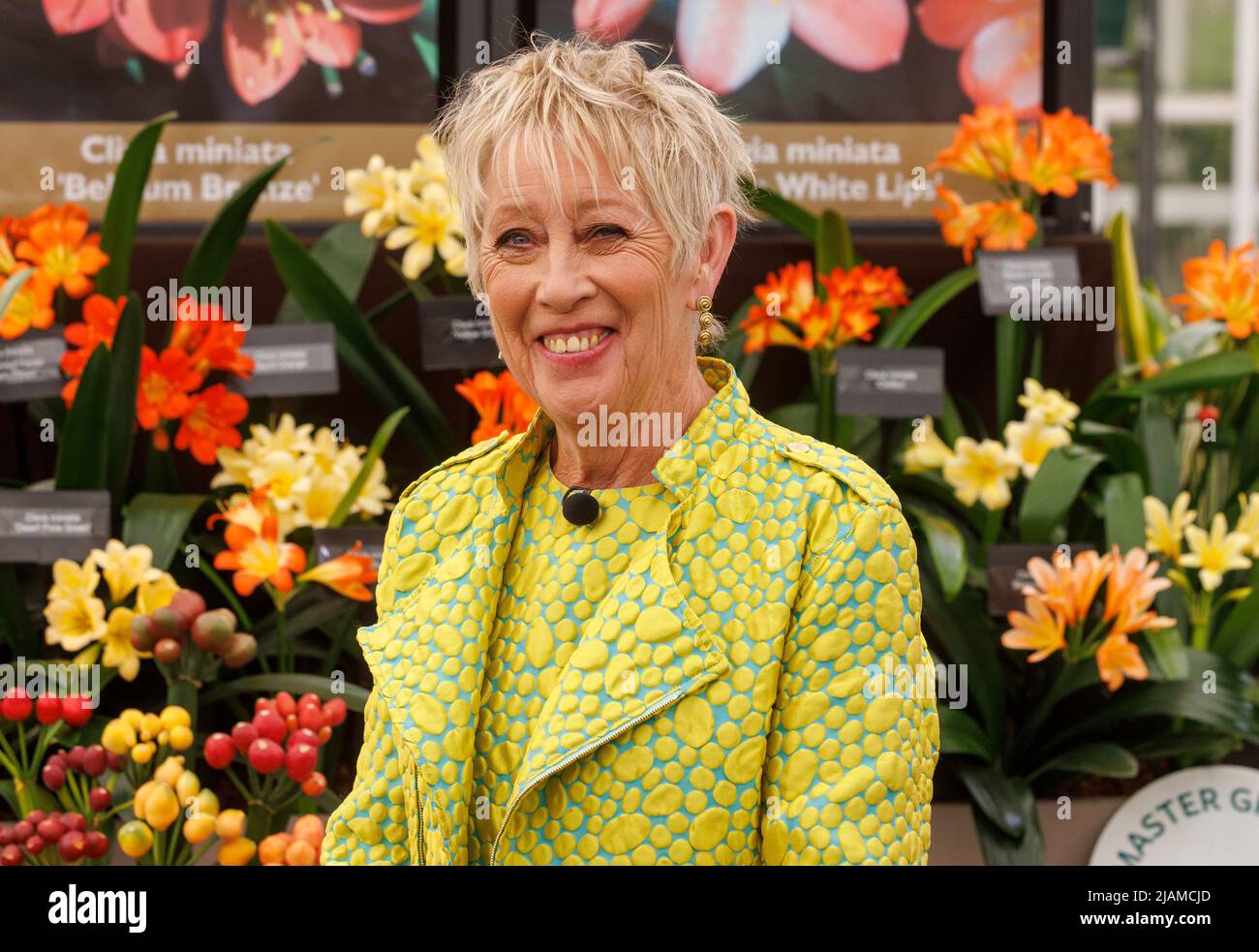 Carol Klein, jardinier, présentatrice de télévision et rédactrice de journaux, au RHS Chelsea Flower Show, Banque D'Images