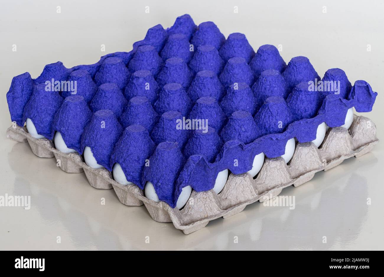 Œufs de poulet blancs dans une boîte en carton. Oeufs emballés à vendre sur le marché. Arrière-plan isolé Banque D'Images