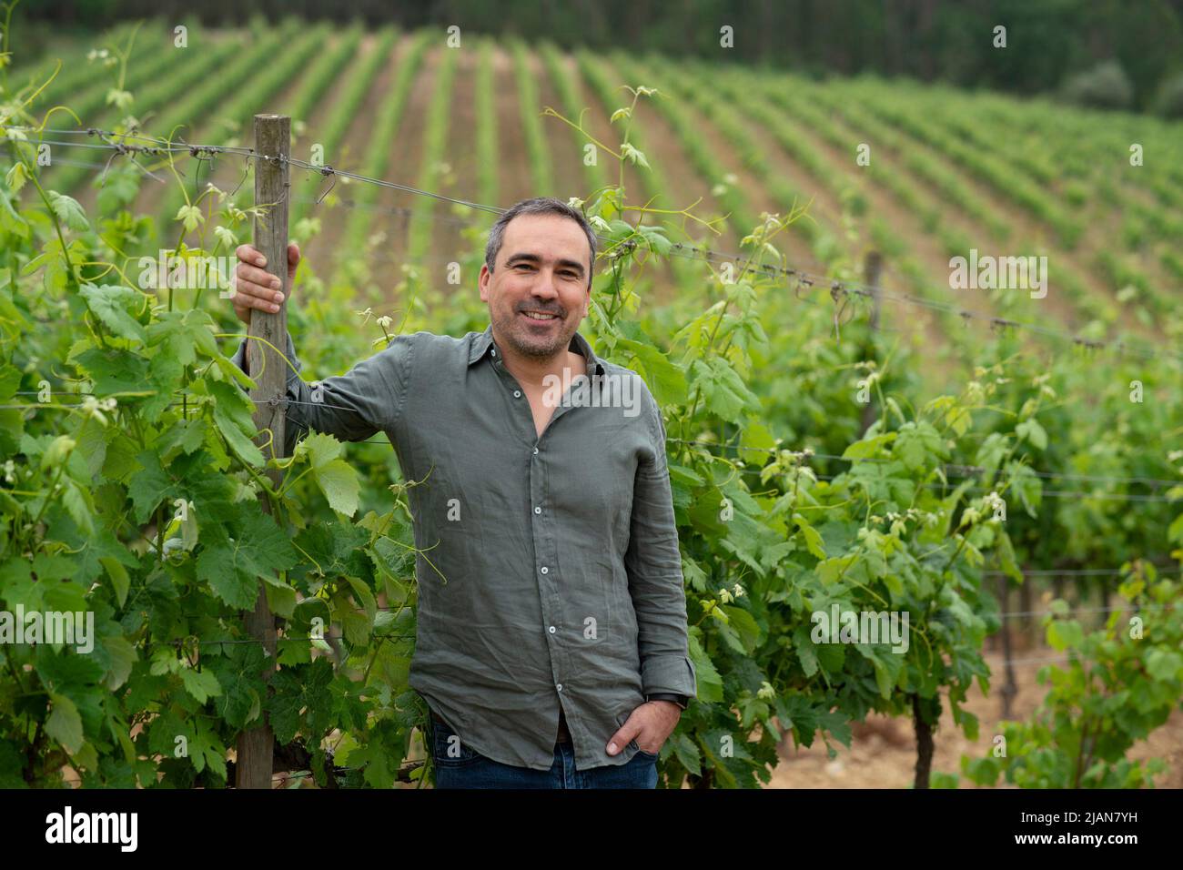 Luis Patrão producteur de Vadio Wines dans la région de Bairrada au centre du Portugal. Europe Banque D'Images