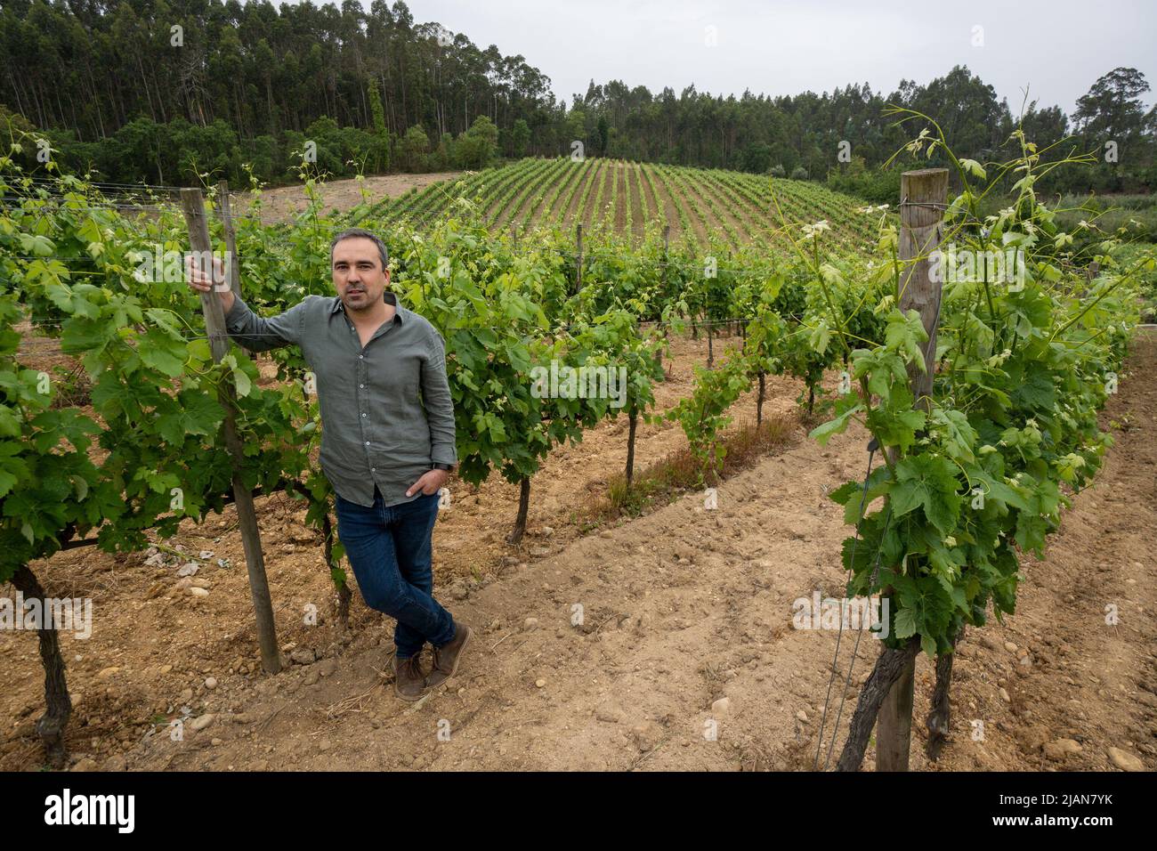 Luis Patrão producteur de Vadio Wines dans la région de Bairrada au centre du Portugal. Europe Banque D'Images