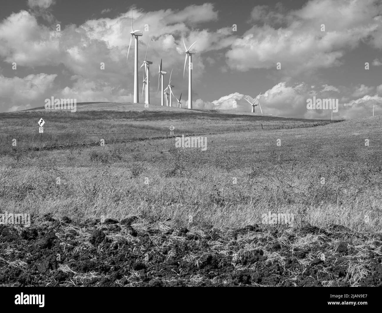 Un paysage noir et blanc. Il s'agit de la ferme éolienne Shiloh à Montezuma Hills, comté de Solano, Californie. Banque D'Images