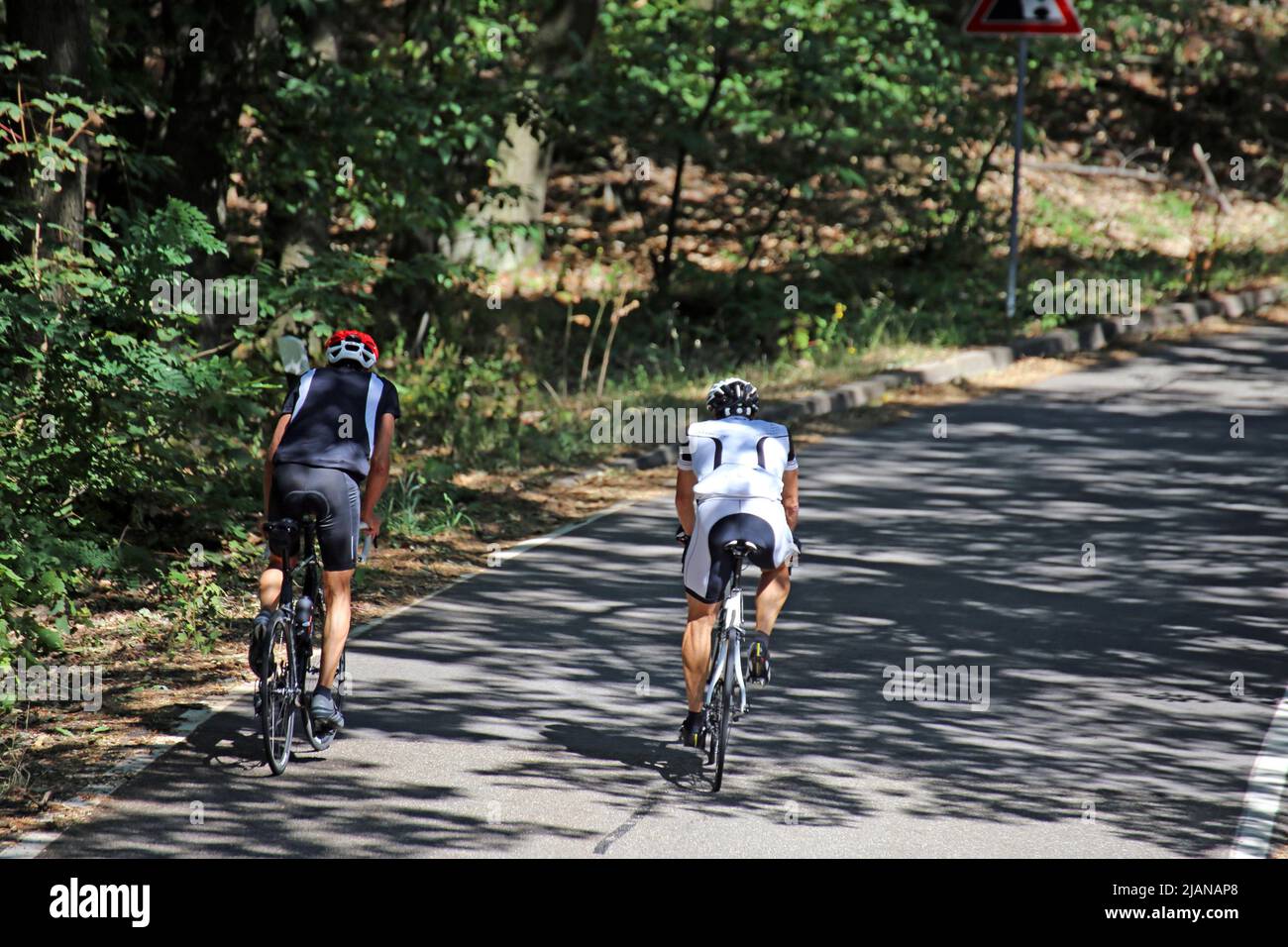 Cyclistes en tournée dans la forêt du Palatinat, Allemagne Banque D'Images