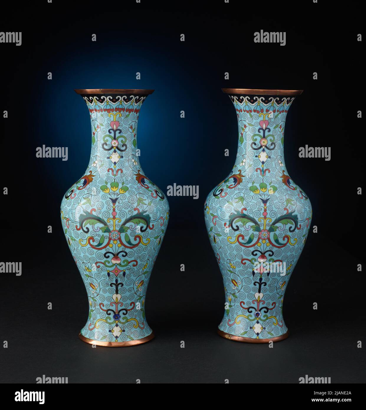 Paire de vases avec un motif de plante flagellum et styIIed fleurs inconnues Banque D'Images