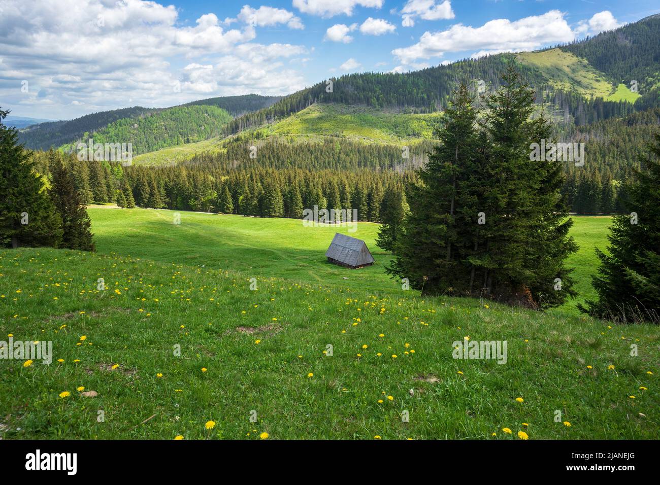 Superbe paysage de printemps dans la Glade de Kalatowki. Tatras de l'Ouest. Banque D'Images