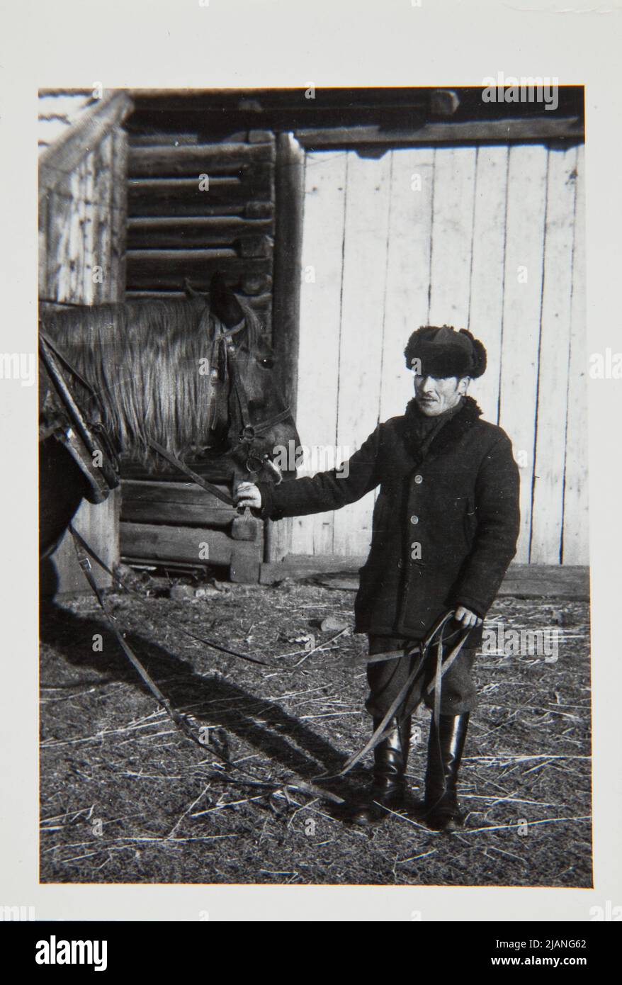 Chomranice Portrait Photographie de la ferme équestre d'hiver Banque D'Images