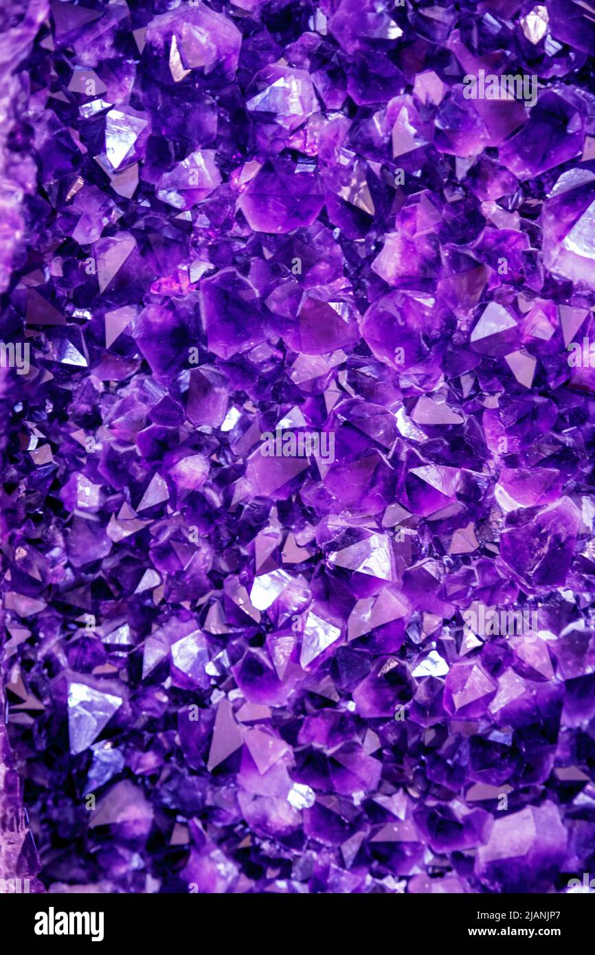 Cristal violet Amethyst. Cristaux minéraux dans l'environnement naturel. Texture de pierres précieuses et semi-précieuses Banque D'Images