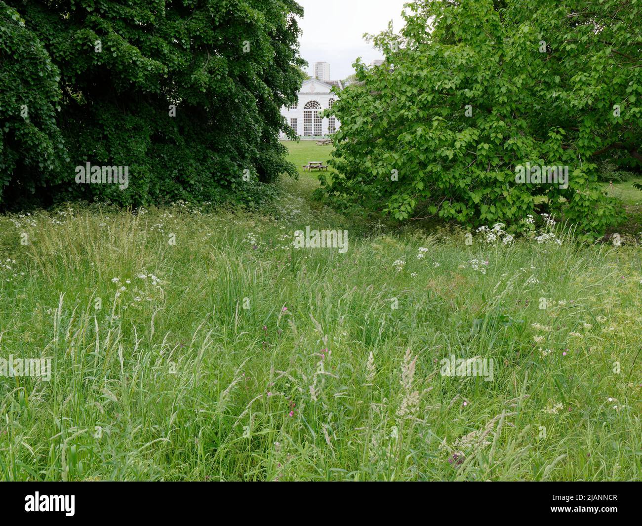 Richmond, Grand Londres, Angleterre, 18 mai 2022: Jardins botaniques royaux Kew. Vue depuis le parc de Kew vers l'Orangerie et les tables de pique-nique. Banque D'Images