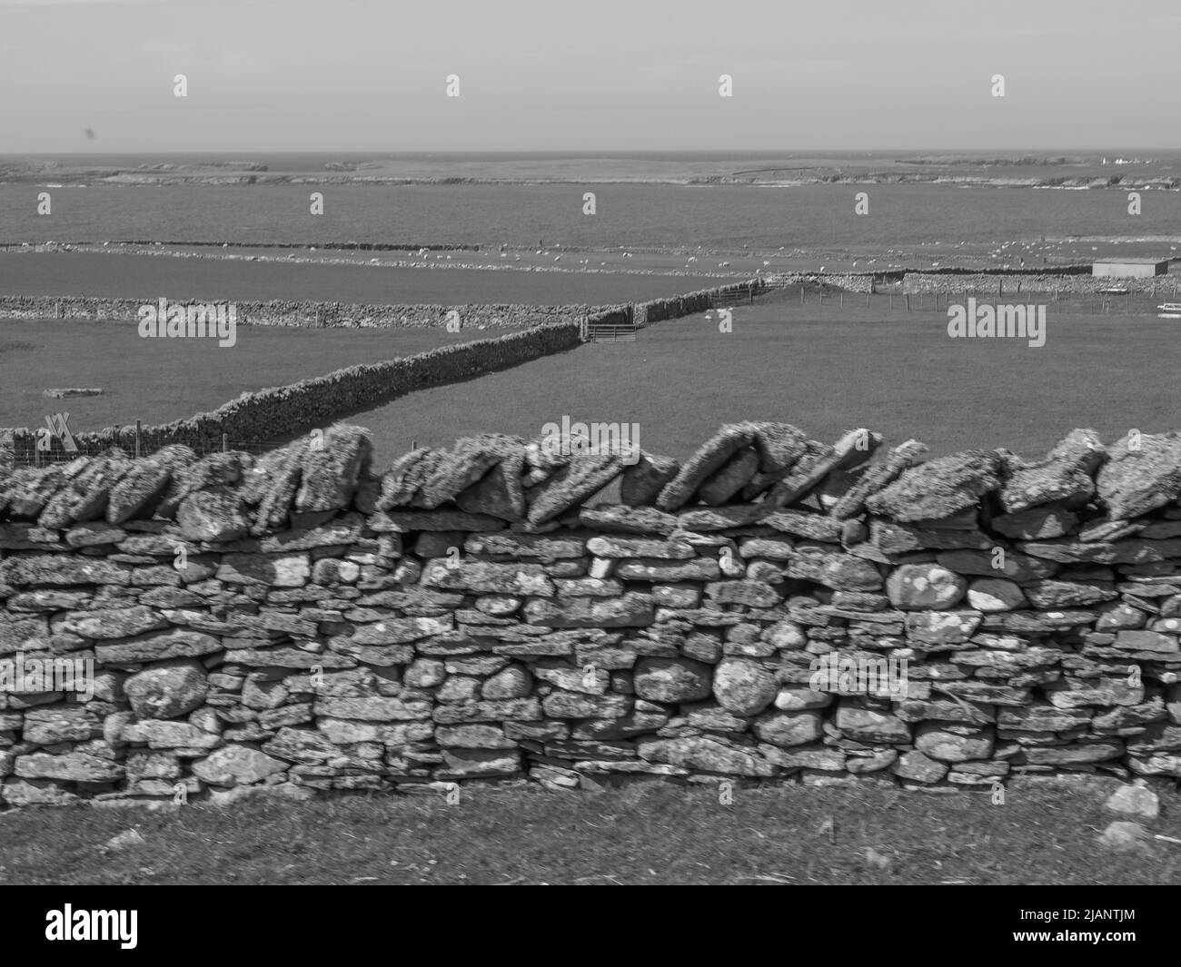 L'île Shetland en écosse Banque D'Images