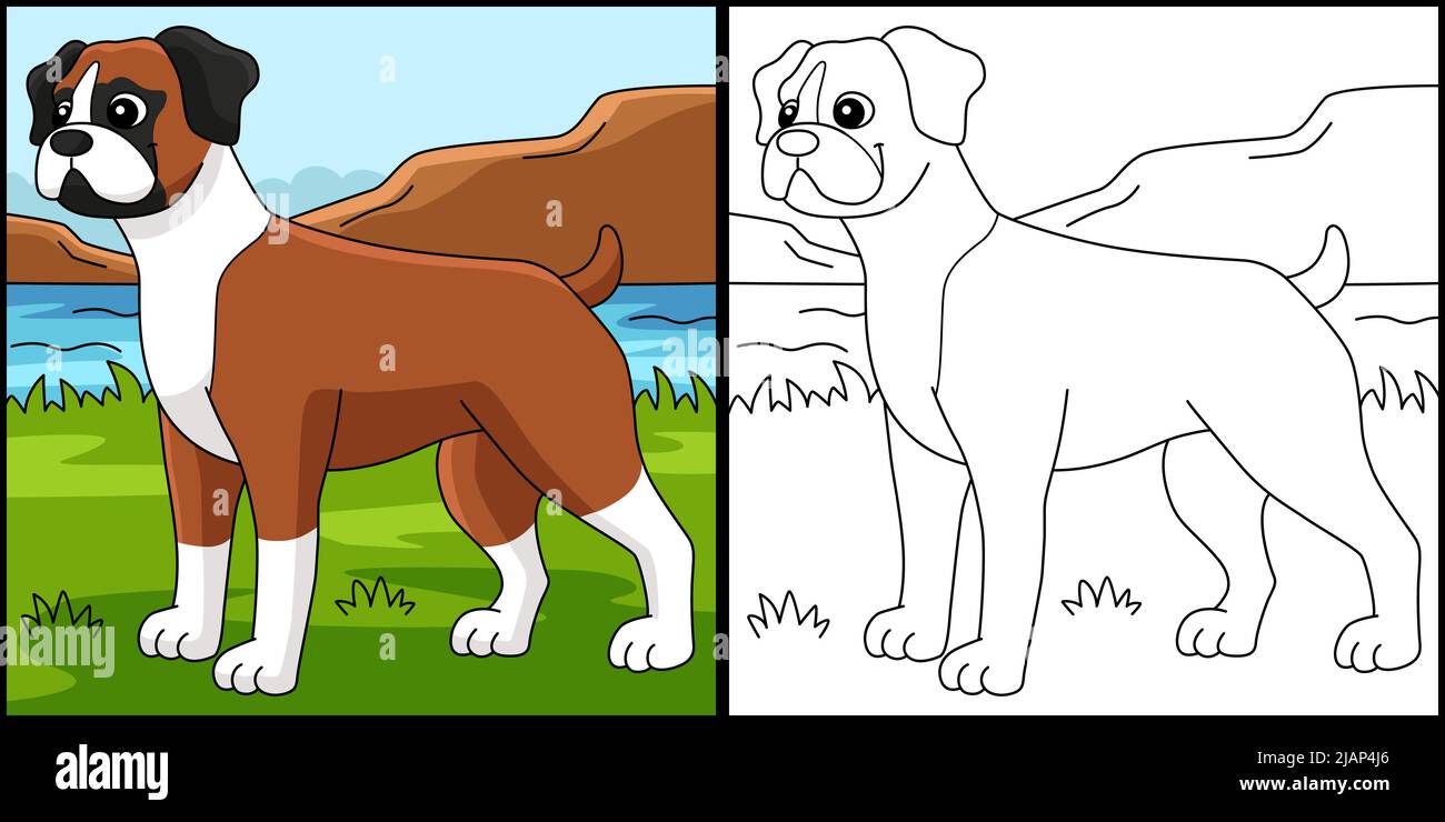 Illustration colorée de la page de coloriage du chien boxeur Illustration de Vecteur