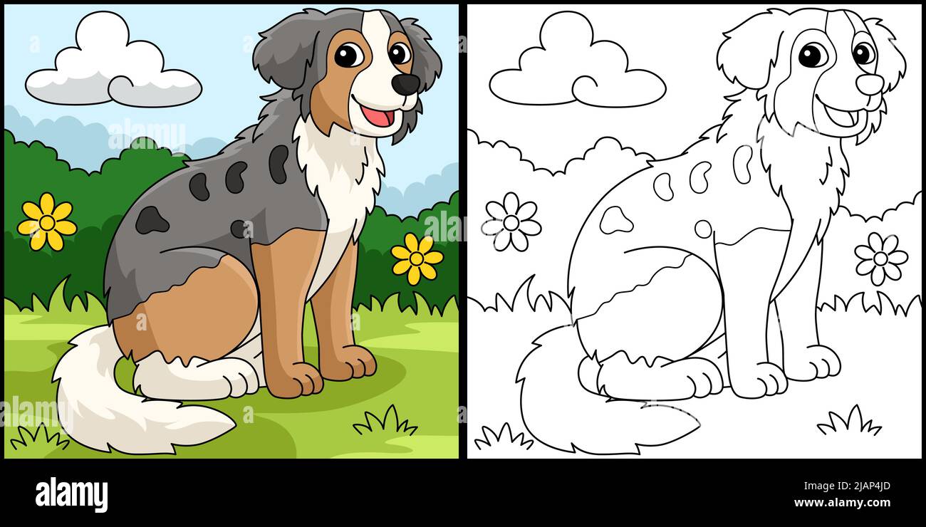 Illustration de la page de coloriage du chien de berger australien Illustration de Vecteur