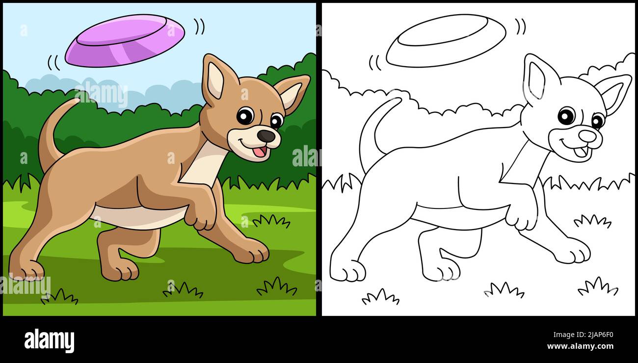 Chihuahua page de coloration de chien Illustration colorée Illustration de Vecteur