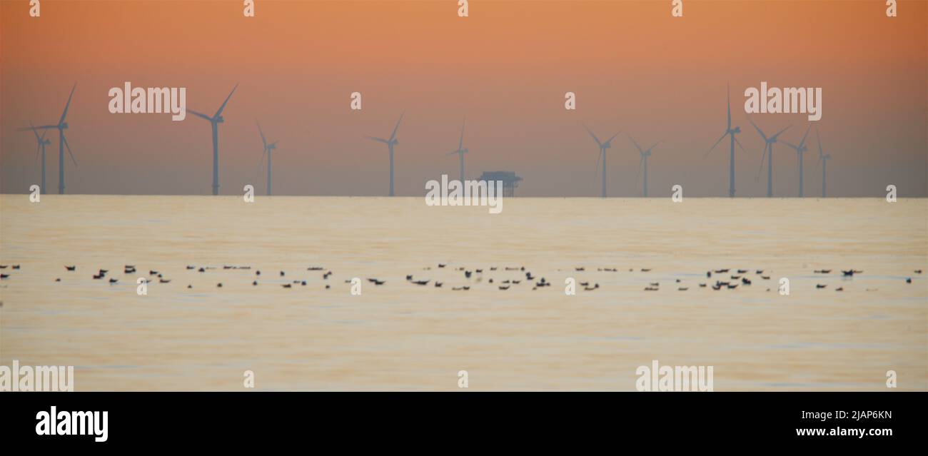 Turbines du parc éolien offshore de Rampion situé au large de la côte de Sussex, Angleterre, Royaume-Uni.Mise en service et production d'énergie renouvelable en 2018, la construction du parc d'éoliennes de 116 a coûté 1.3 livres sterling. Banque D'Images