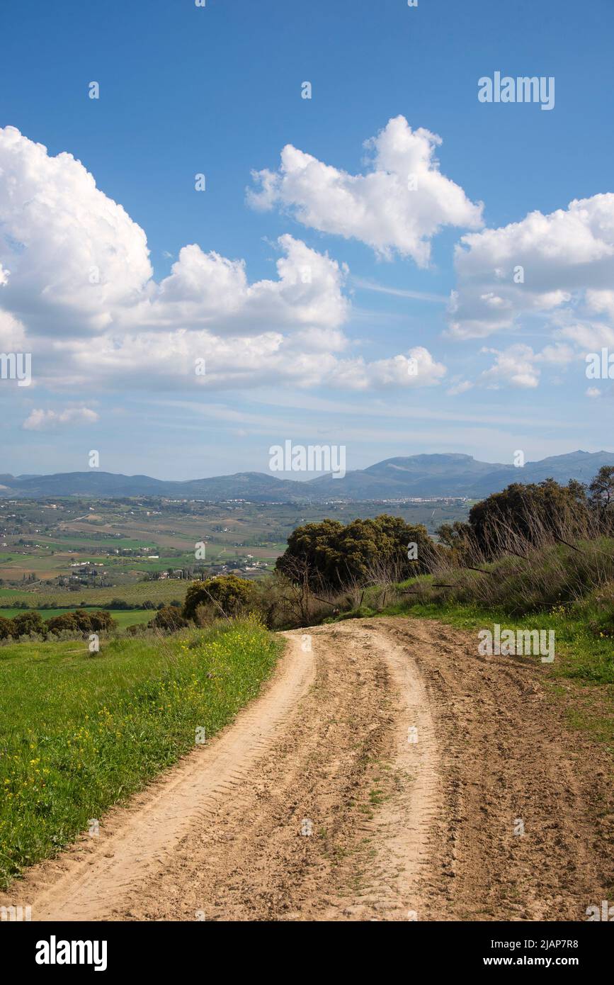 Route de gravier dans les montagnes de Serrania de Ronda, en Andalousie Espagne Banque D'Images