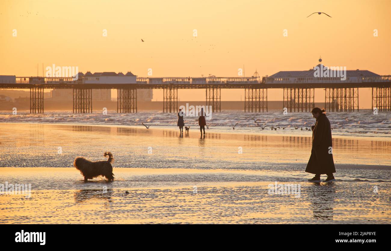 Silhouettes de l'aube sur la plage à marée basse, Brighton & Hove, East Sussex, Angleterre, Royaume-Uni. Promenade matinale avec un chien sur la plage. Brighton Palace Pier en arrière-plan. Banque D'Images