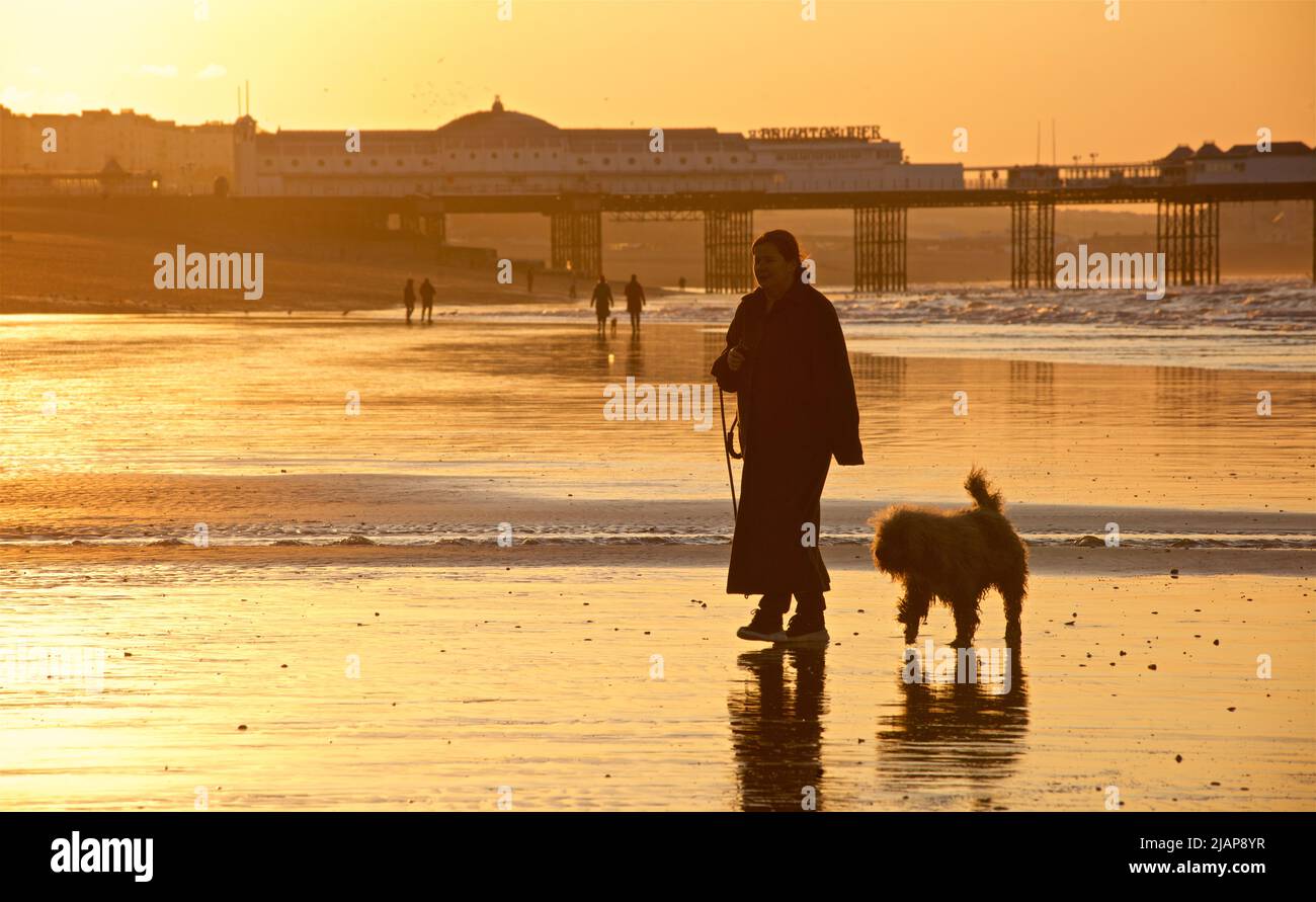 Silhouettes de l'aube sur la plage à marée basse, Brighton & Hove, East Sussex, Angleterre, Royaume-Uni. Promenade matinale avec un chien sur la plage. Brighton Palace Pier en arrière-plan. Banque D'Images
