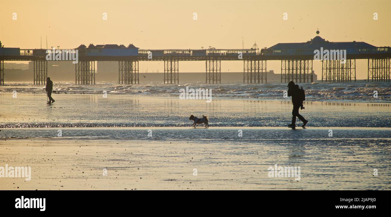 Silhouettes de l'aube sur la plage à marée basse, Brighton & Hove, East Sussex, Angleterre, Royaume-Uni. Promenade matinale avec un chien sur la plage. Palace / Brighton Pier en arrière-plan. Banque D'Images